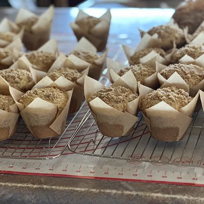Chocolate Chip Muffins