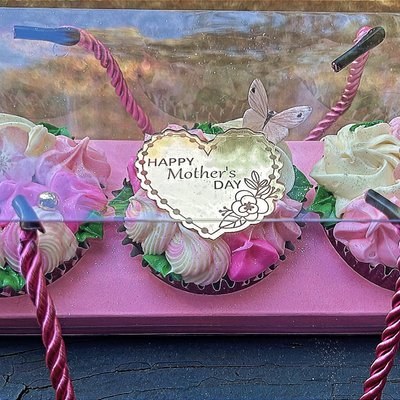 3 Pack cupcake purse