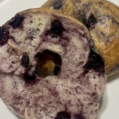 Blueberry Bagel