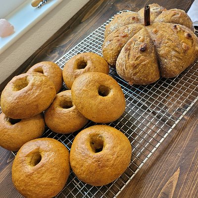 Sourdough Pumkin Bagels (Seasonal Special)