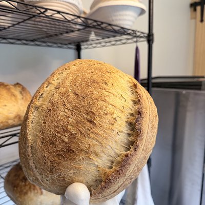Rosemary, Olive Oil, & Sea Salt Artisan Sourdough
