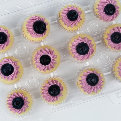 Blueberry Cupcakes