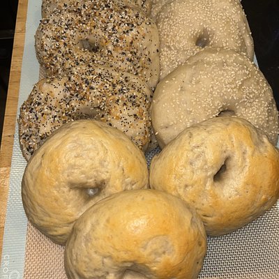 Sourdough Bagels (6)