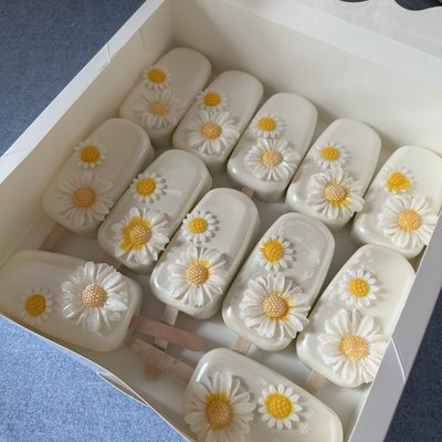A Dozen Cakesicles