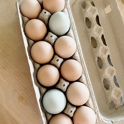 Farm Fresh Eggs