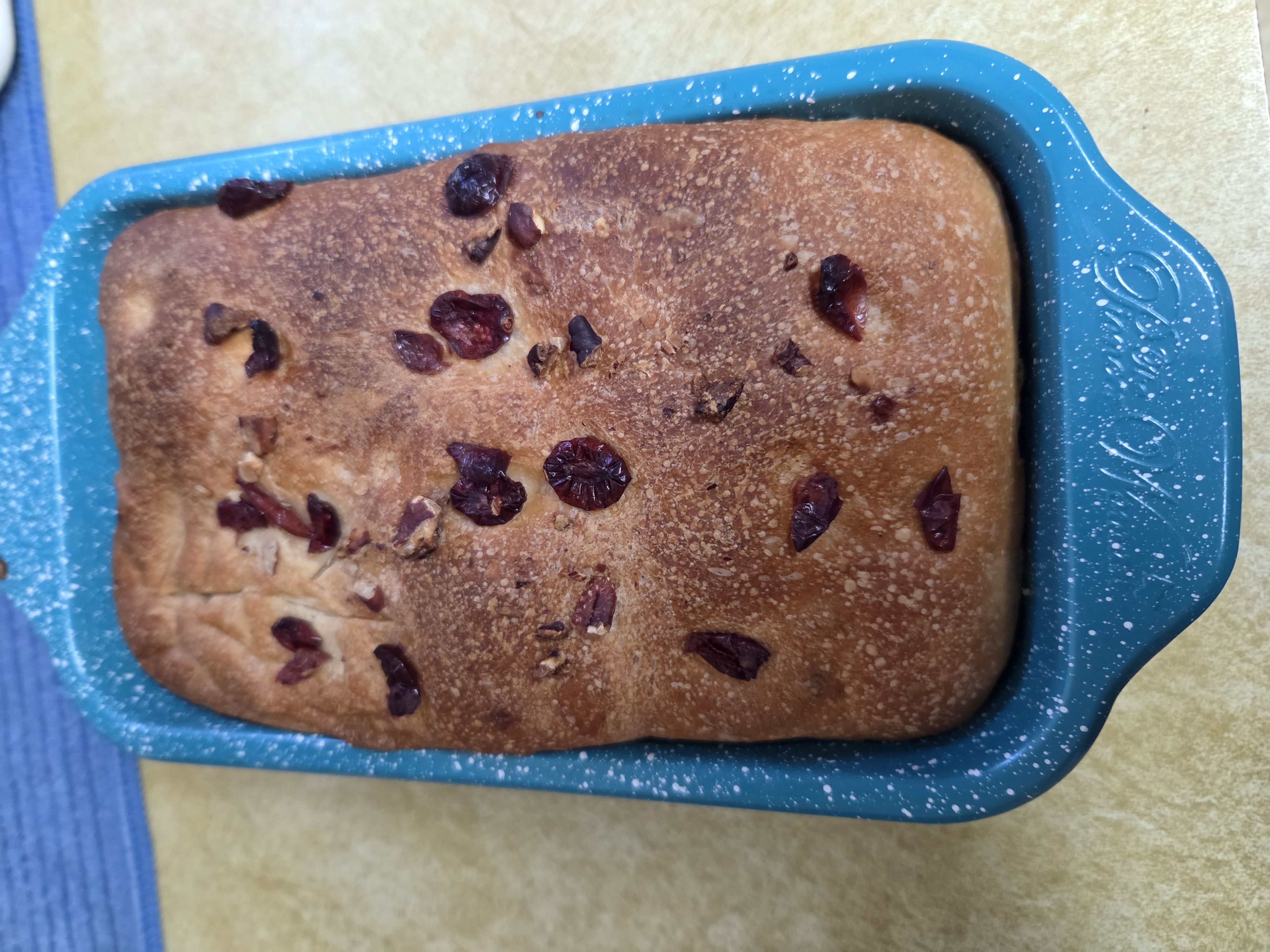 Cranberry Pecan Sourdough Loaf