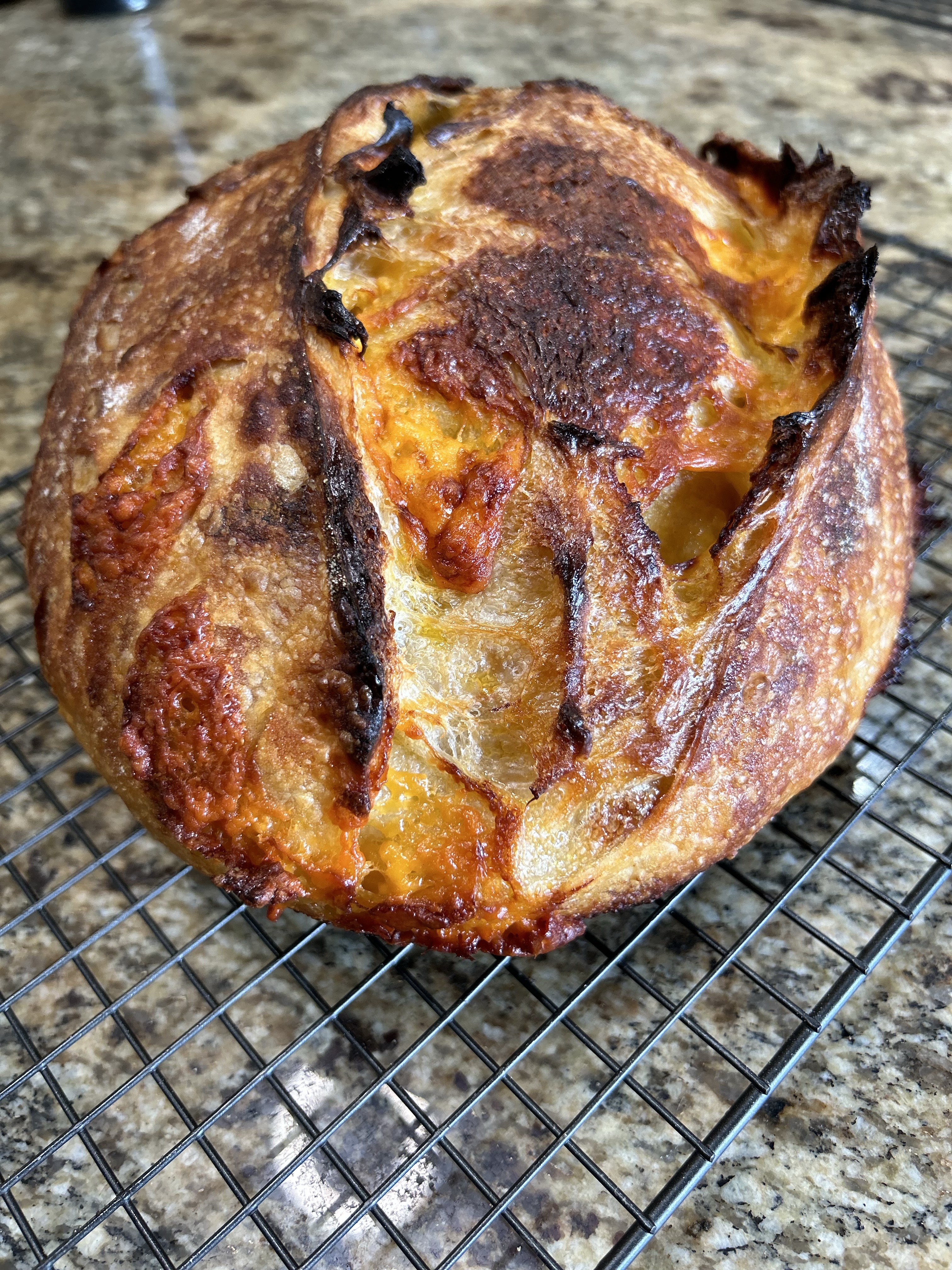 Cheddar Loaf