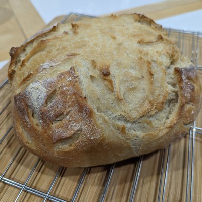 Plain Sourdough 