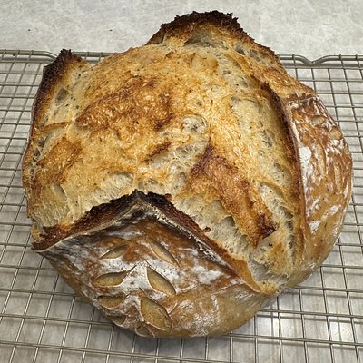 Italian Herb + Parmesan