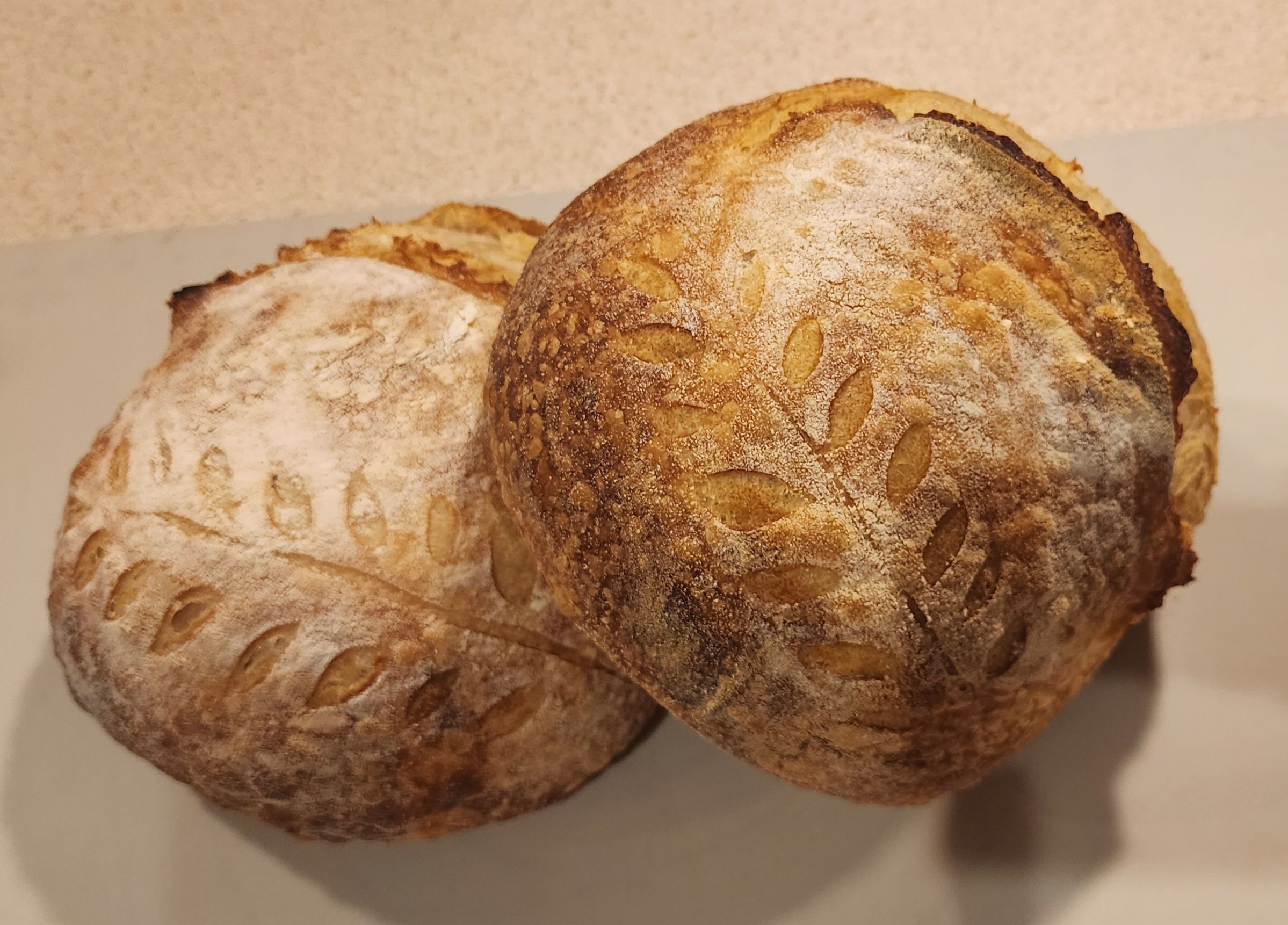 Artisan Sourdough - Plain