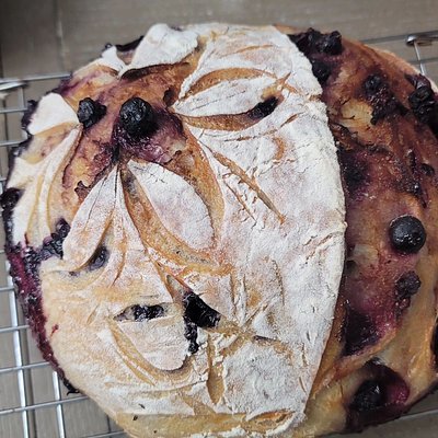 Blueberry Lemon Sourdough Boule