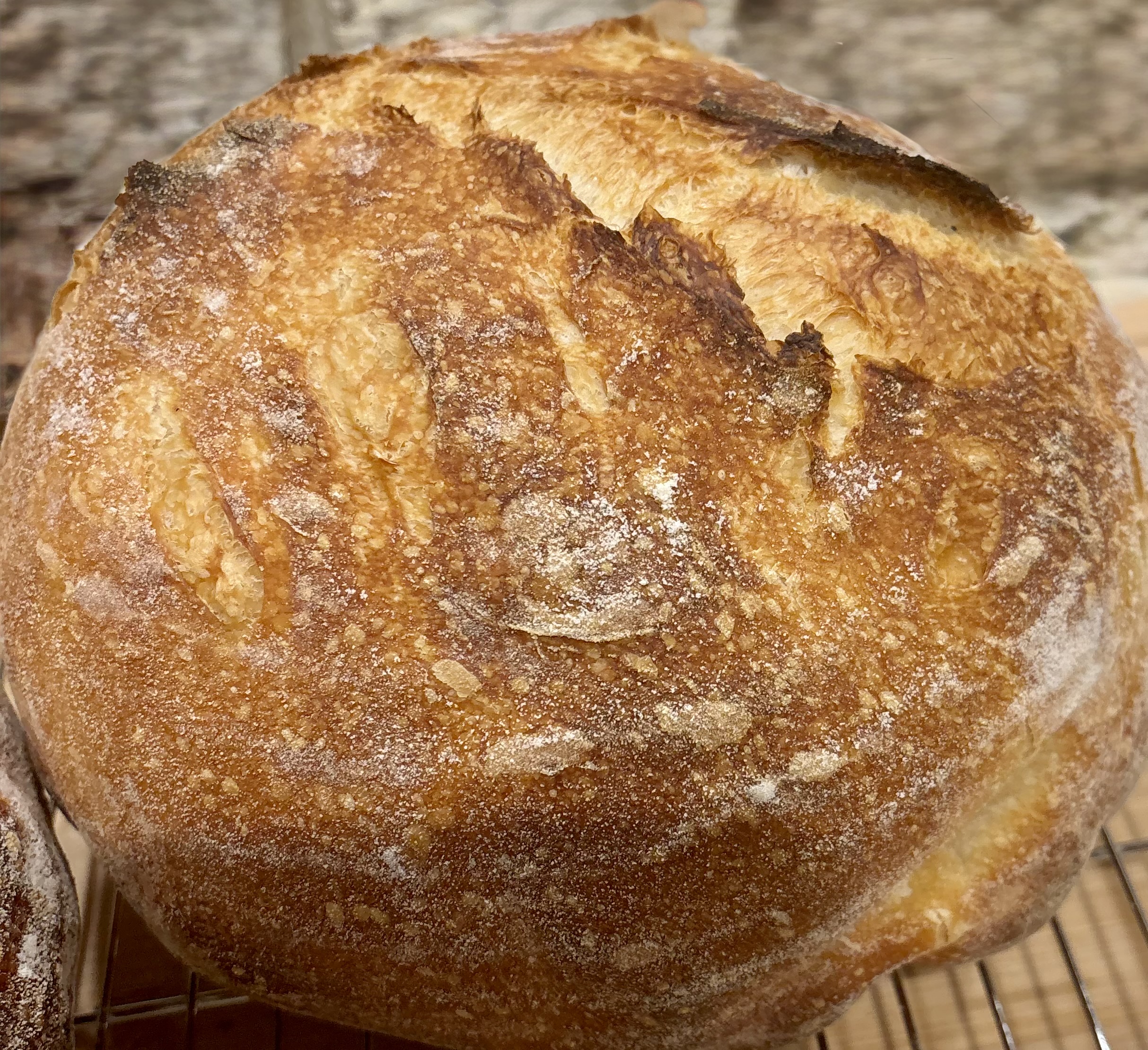 Sourdough Round 