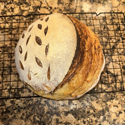 Sourdough Loaf