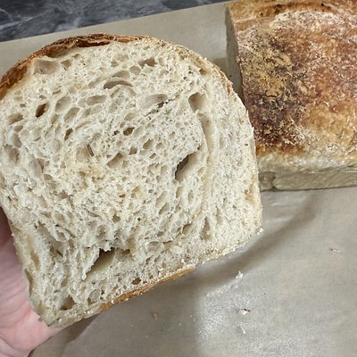 Plain Sourdough Loaf