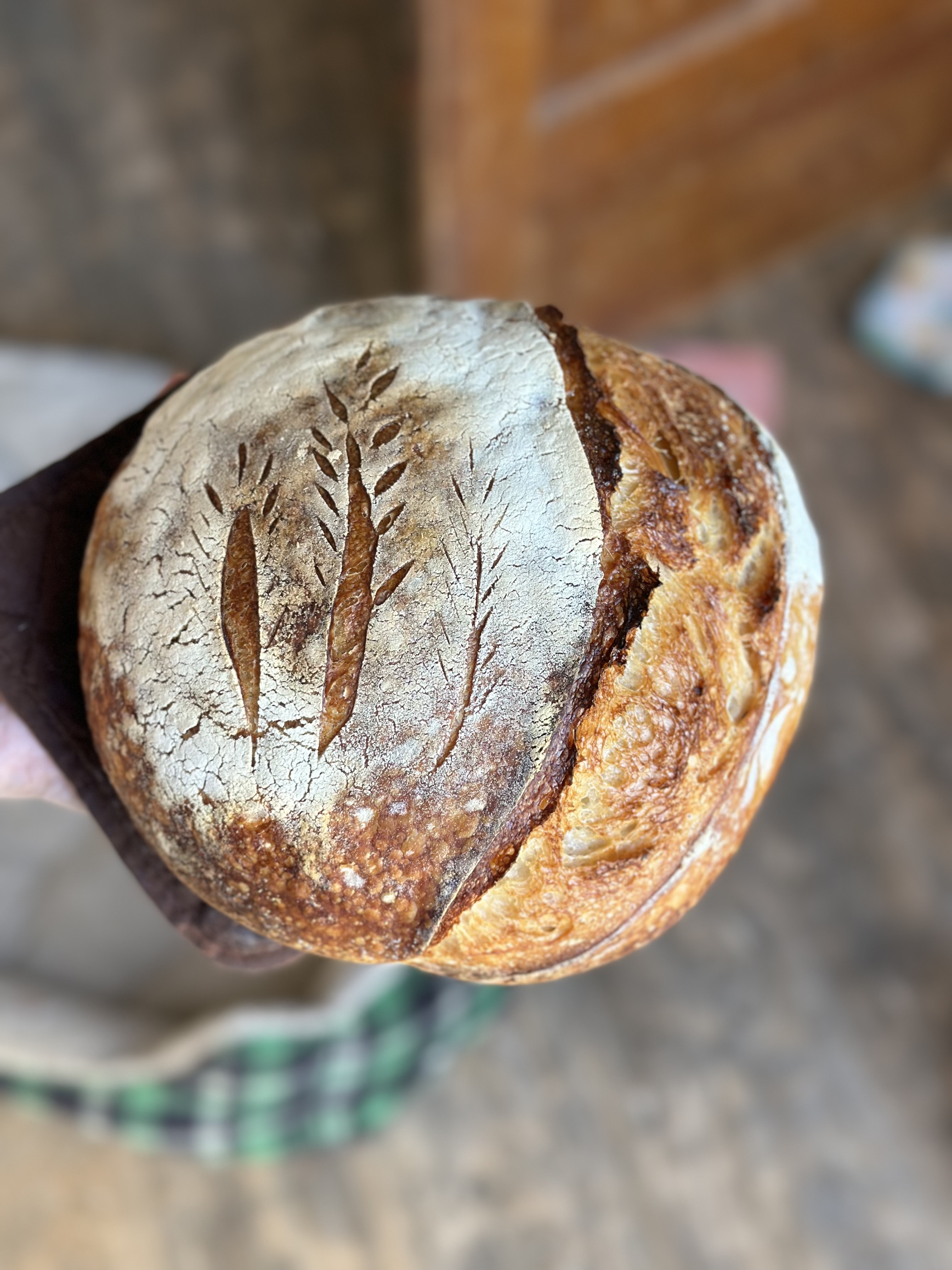 Original Sourdough Boule