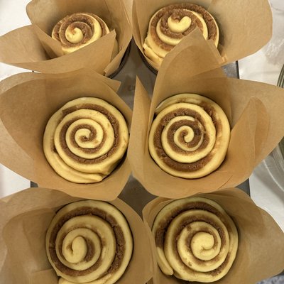Cinnamuffin 