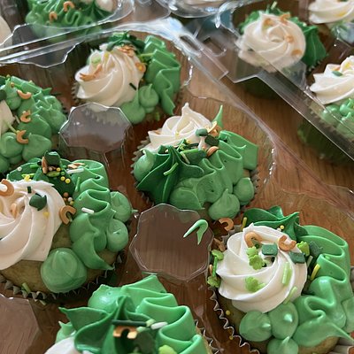 All Occasion Cupcakes