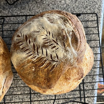 Garlic & Herb Boule