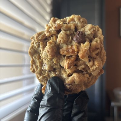 Oatmeal Walnut Chocolate Chip Cookies (6 Count)