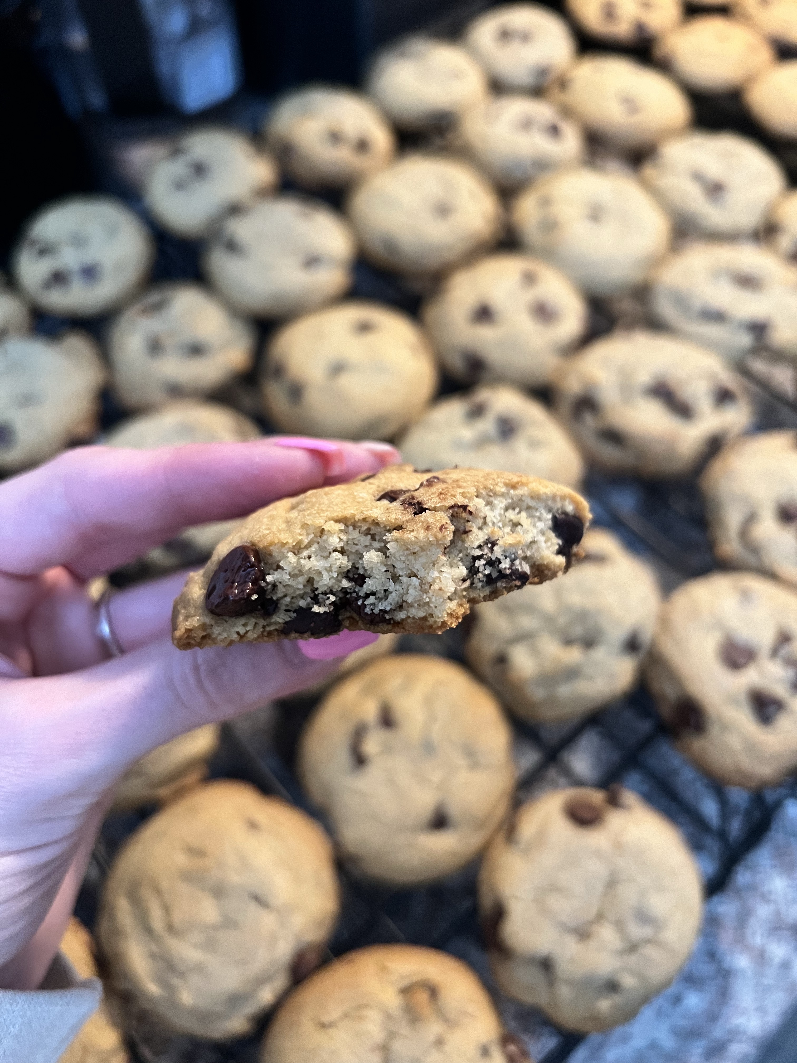 Sourdough Chocolate Chip Cookies