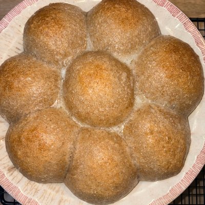 Sourdough Thanksgiving Dinner Rolls