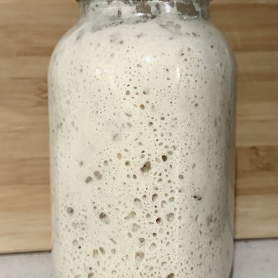 Sourdough starter 