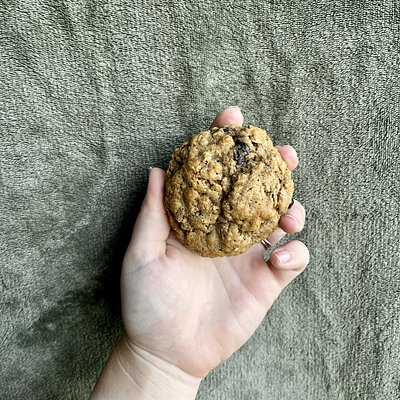 Spiced Oatmeal Raisin