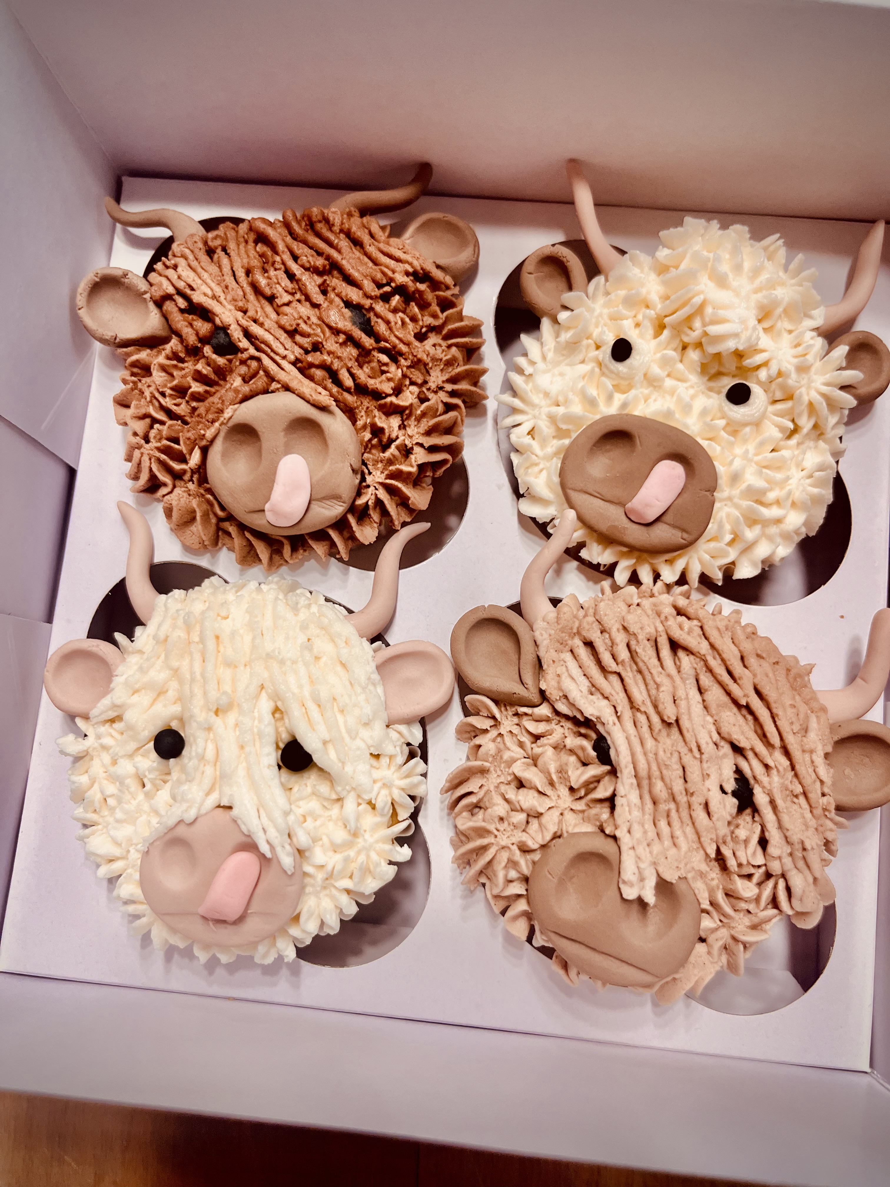 Highland Cow Cupcakes (12 Servings)