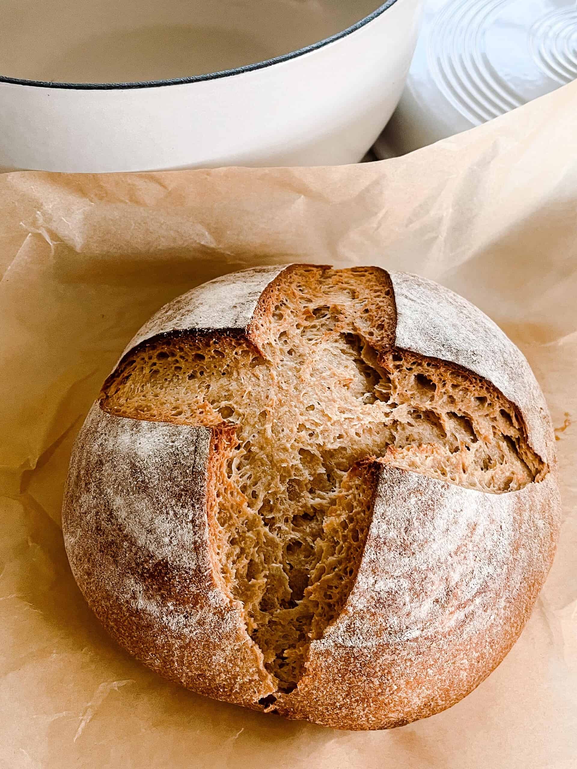 Sourdough (Whole  Wheat)