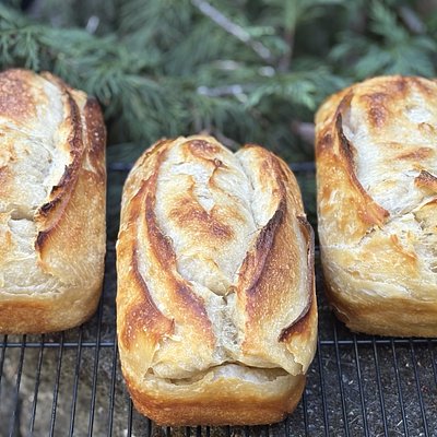 Sourdough Croissant Loaf