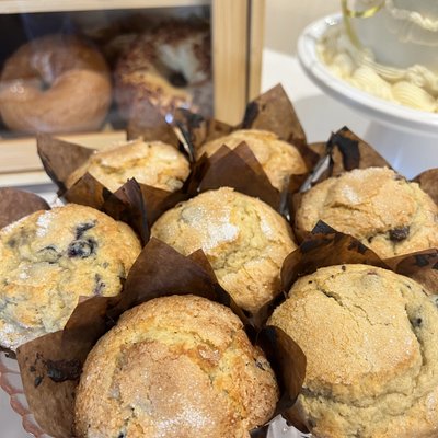 Muffins (Four)
