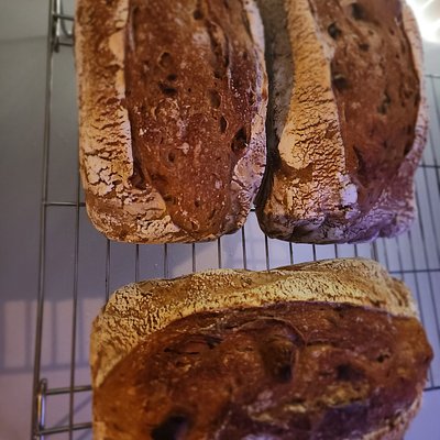 Rosemary Garlic Sourdough