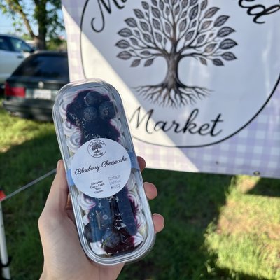 Mini Blueberry Cheesecake