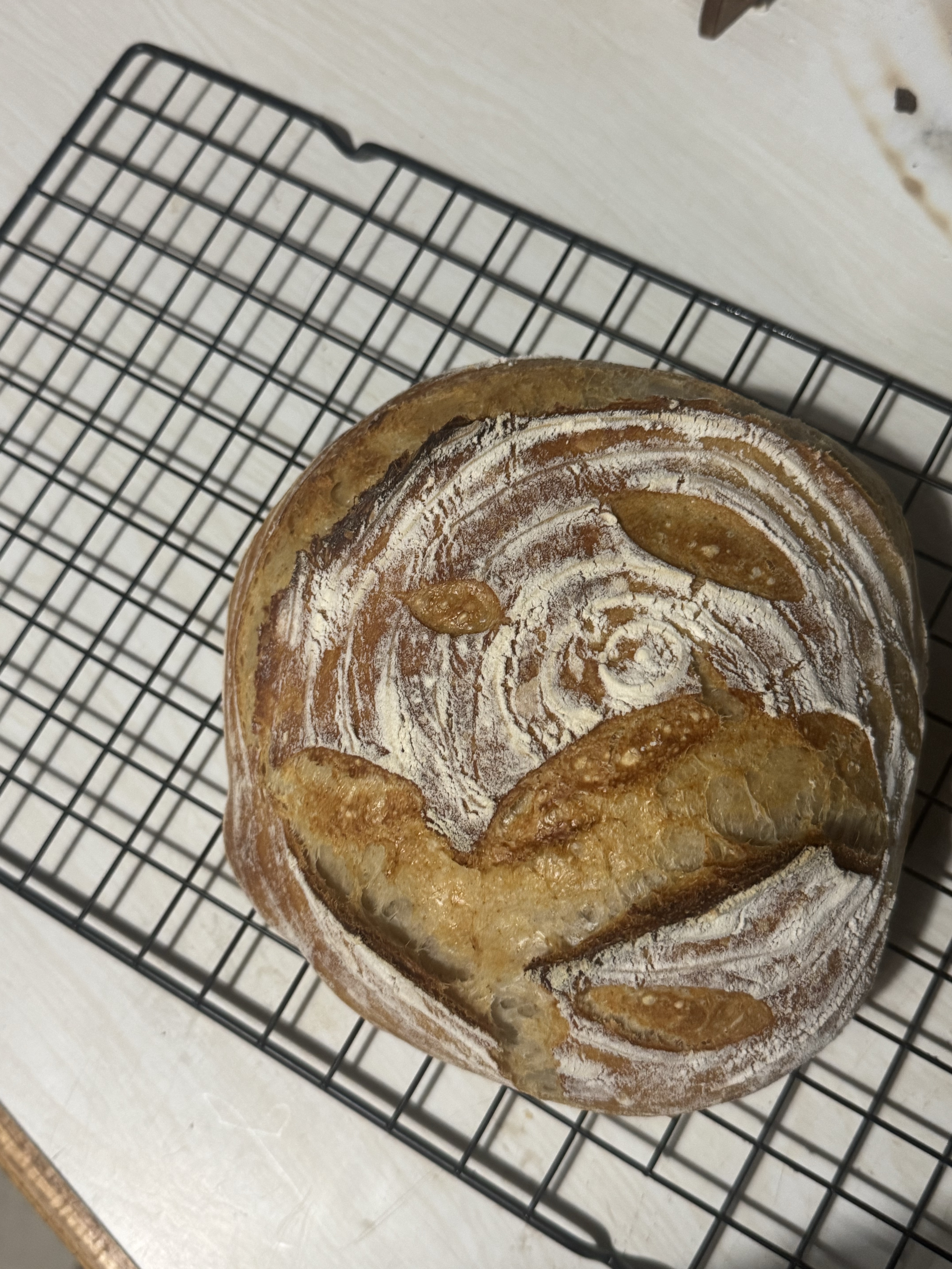 Sourdough 
