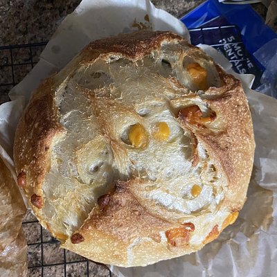 Jalapeño N Cheddar - Sourdough Baby