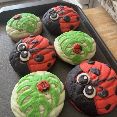 Ladybug