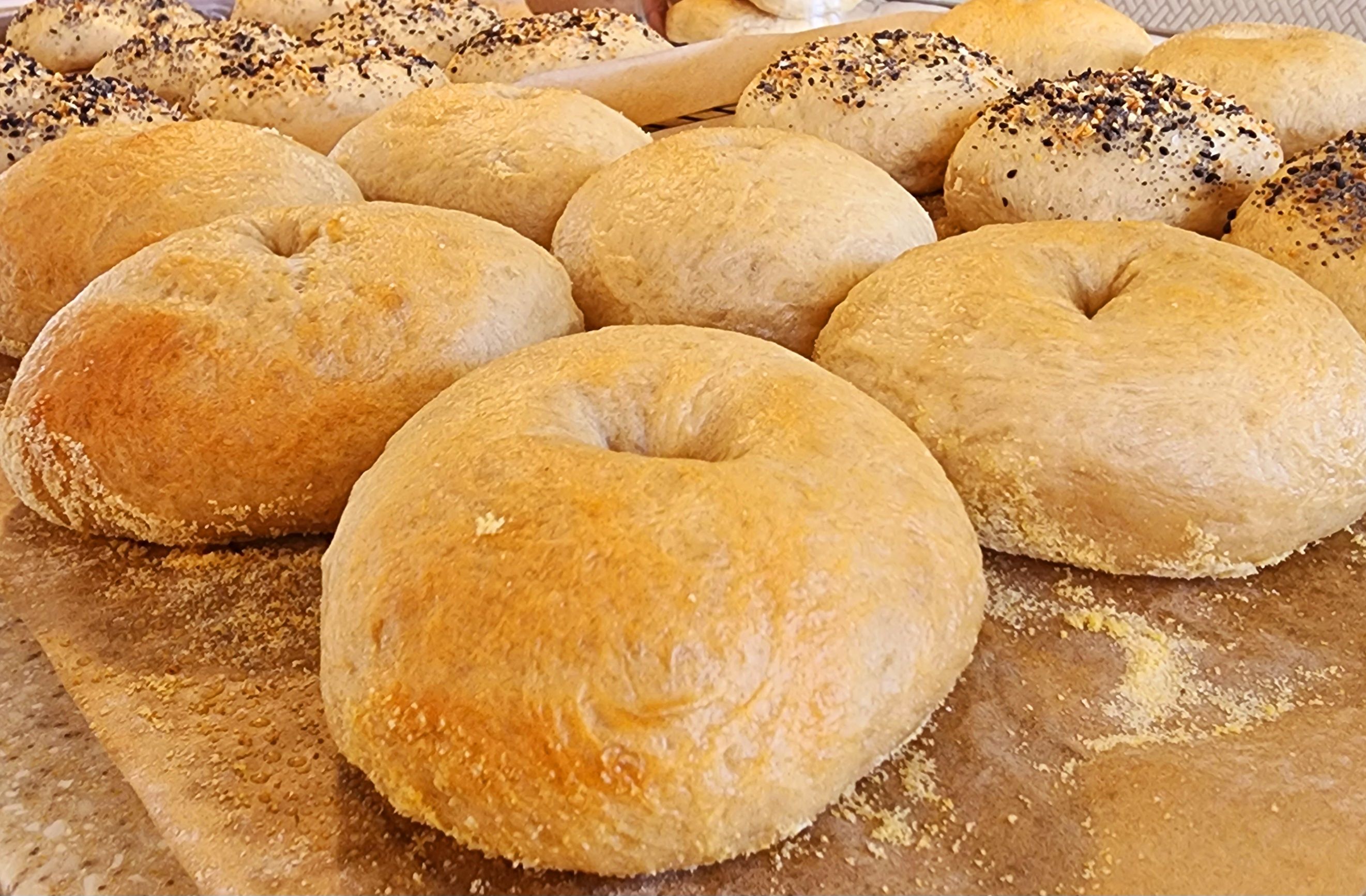 Plain Bagel