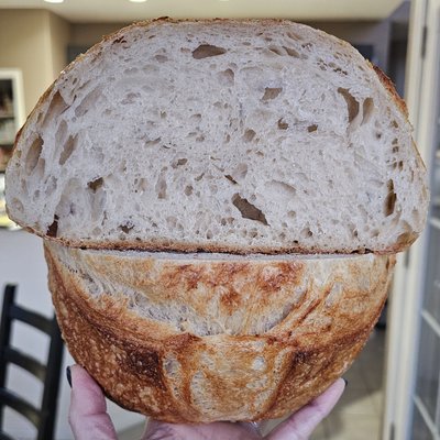 Classic (100% White) Sourdough Boule