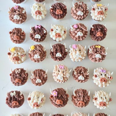 Custom Cupcakes