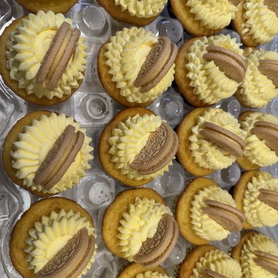 Lemon Cupcake