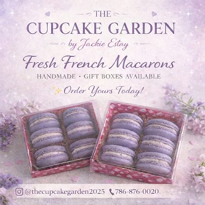 Box Of 12 Macarons
