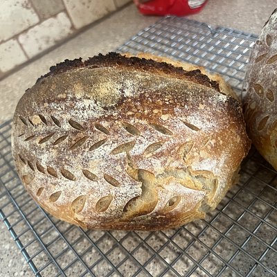 Italian Garlic Mozzarella Artisan Sourdough