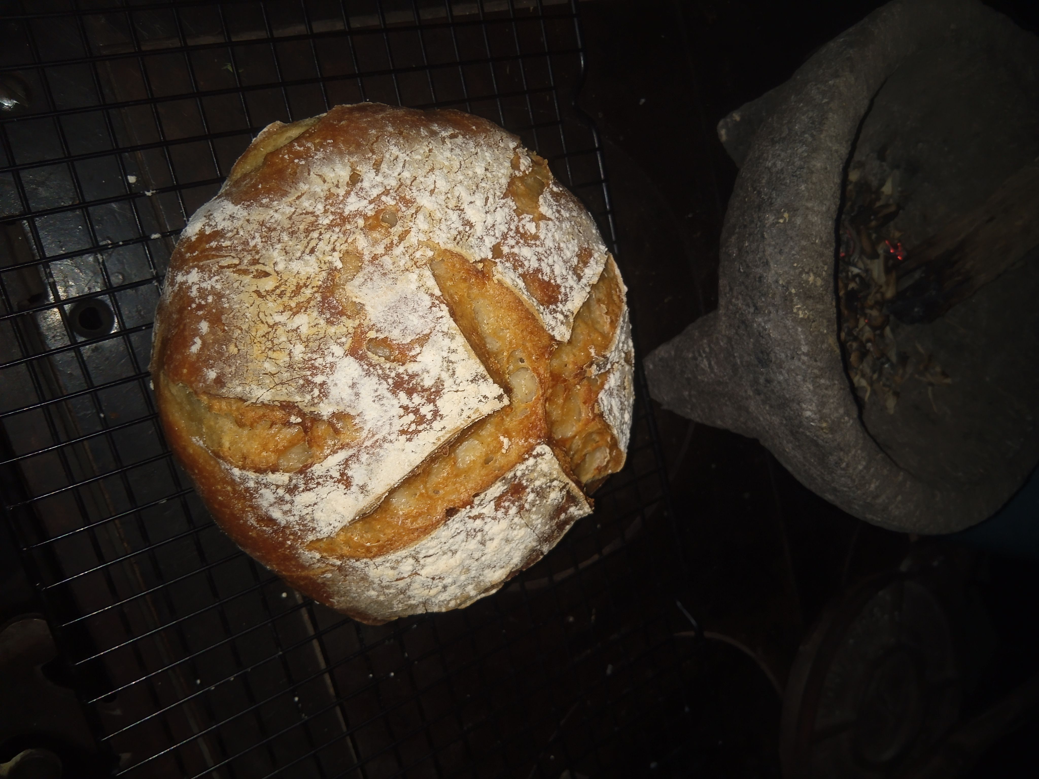 GF Sourdough Plain