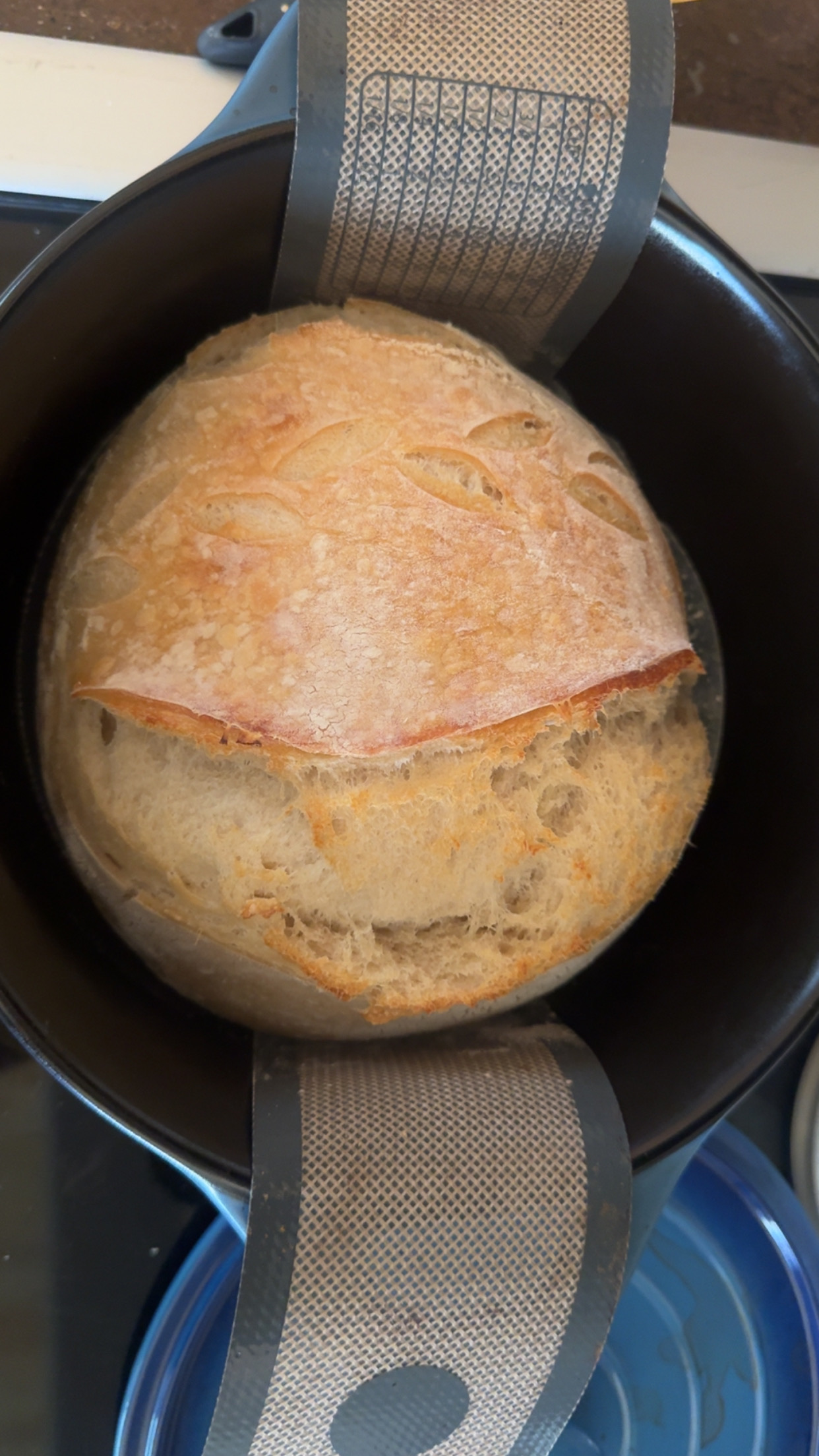 Plain Sourdough Loaf 