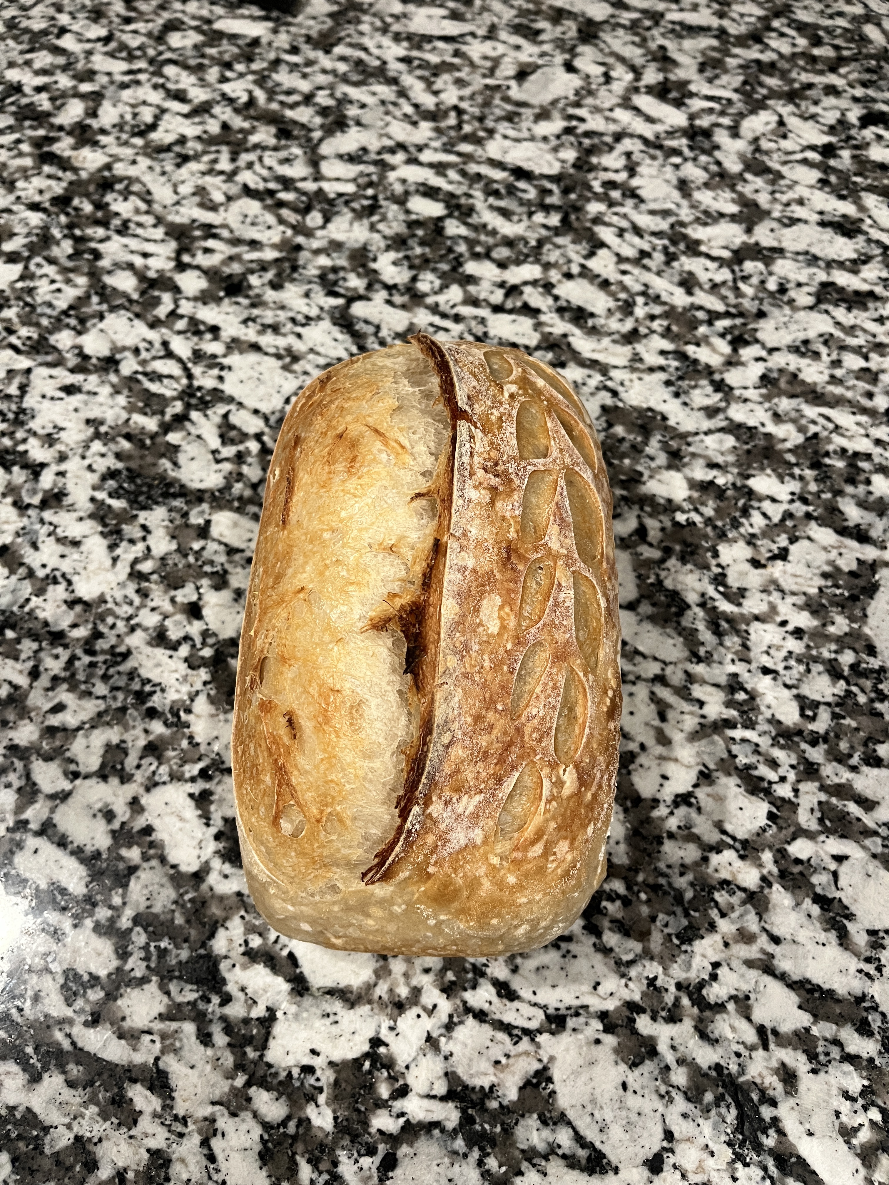 Regular Loaf (Loaf Shape)