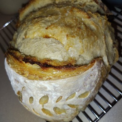 Classic Sourdough 