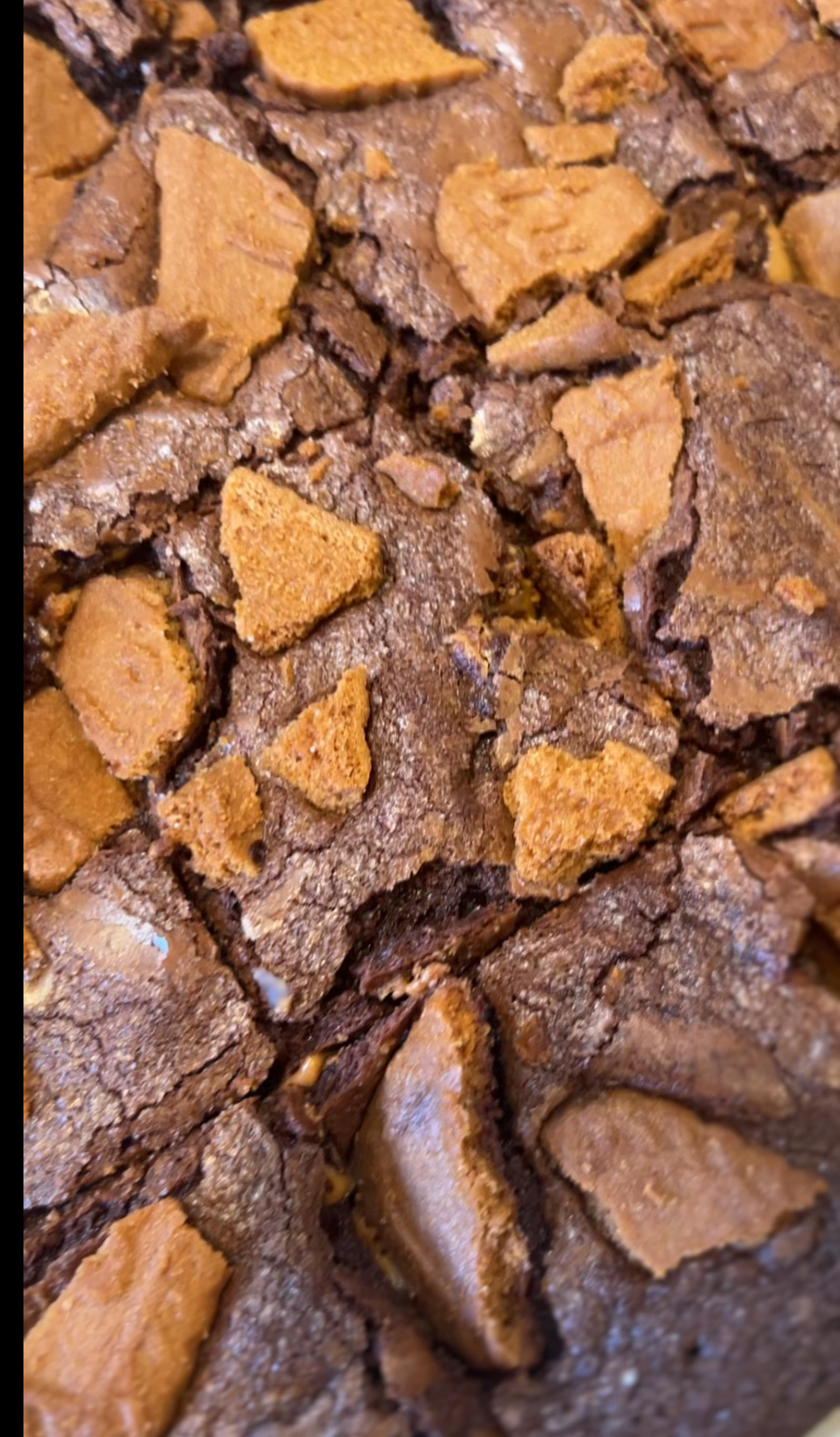 Biscoff Brownie