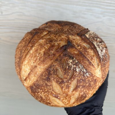Plain Sourdough