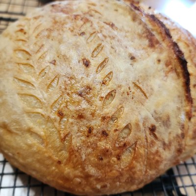 Garlic Parmesan Mini