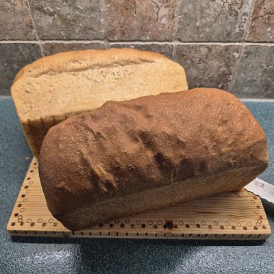 Whole Wheat Bread 
